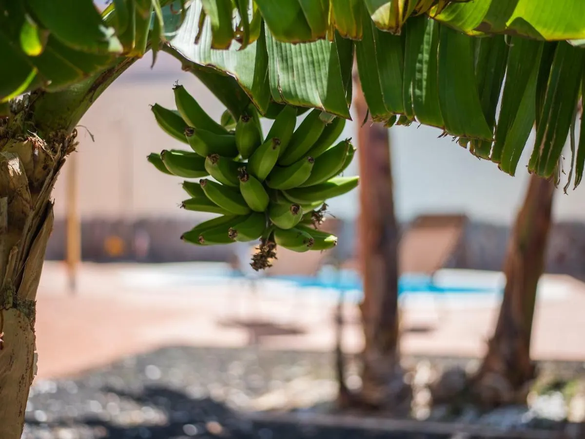 Amazing Villa Viktoria! Pool Big Garden Costa Adeje